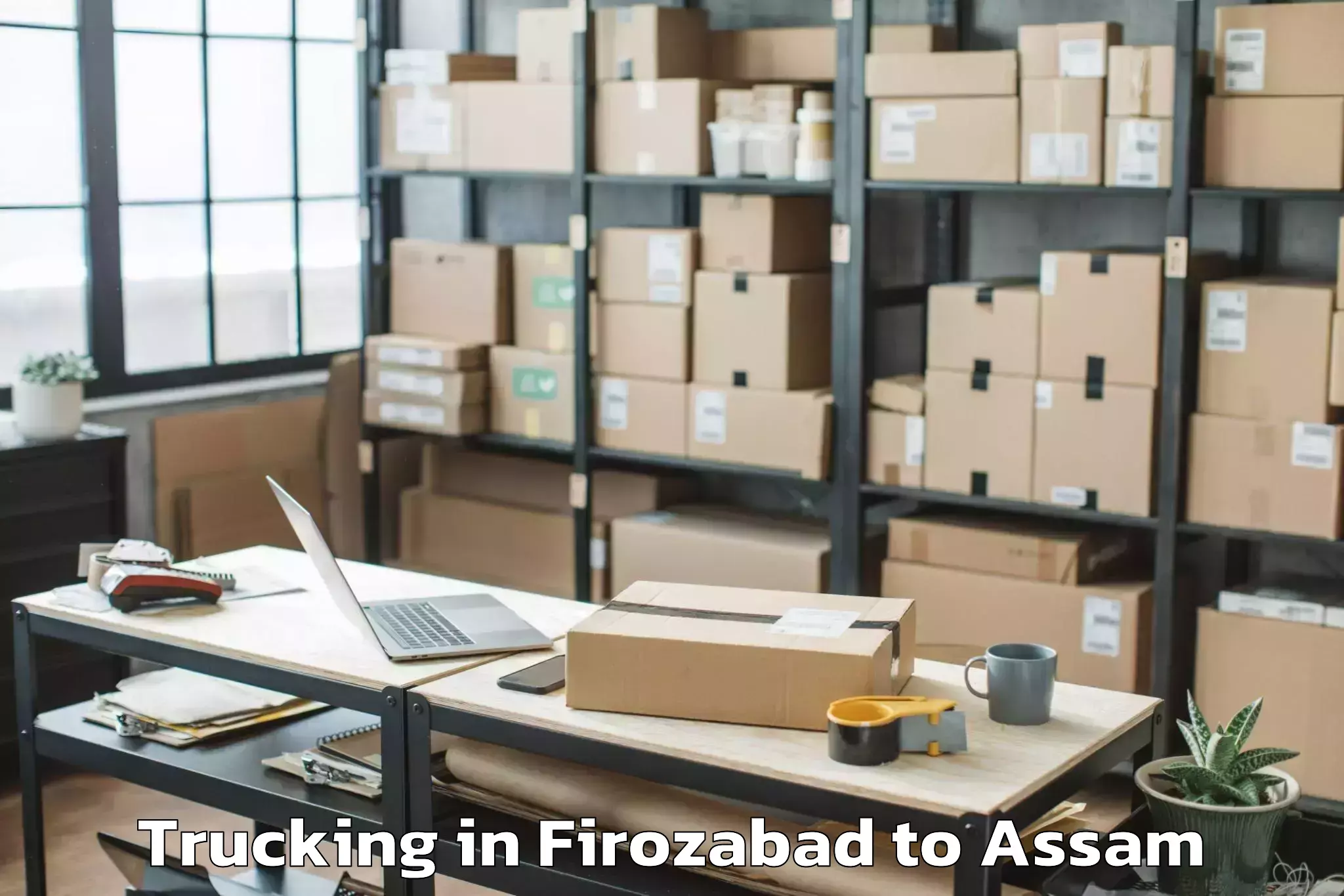 Easy Firozabad to Hailakandi Trucking Booking